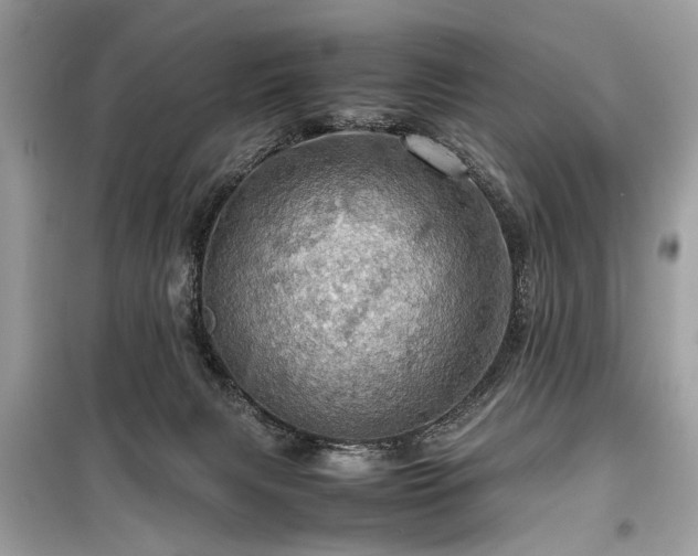 X0000099530079200805161221