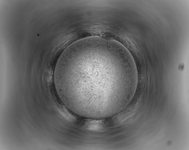 X0000099530081200805161222