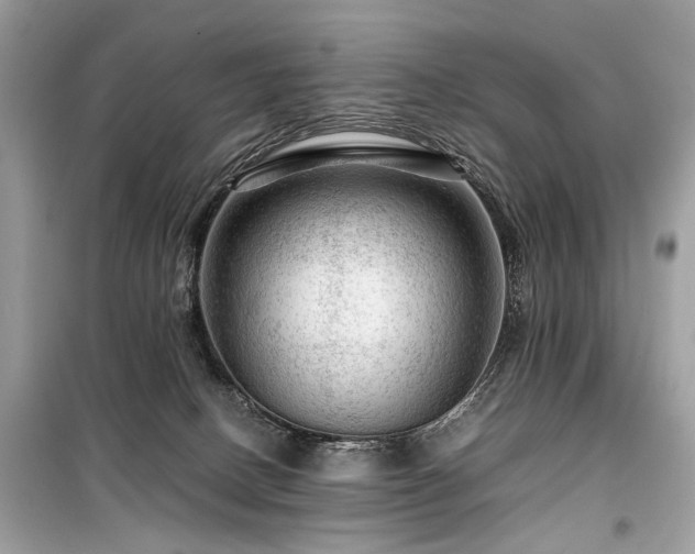 X0000099530082200805161222