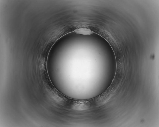 X0000099530083200805161222