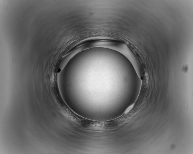 X0000099530084200805161222