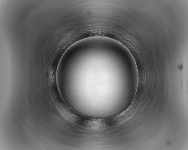 X0000099530086200805161222