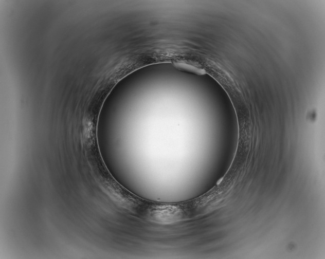 X0000099530087200805161222