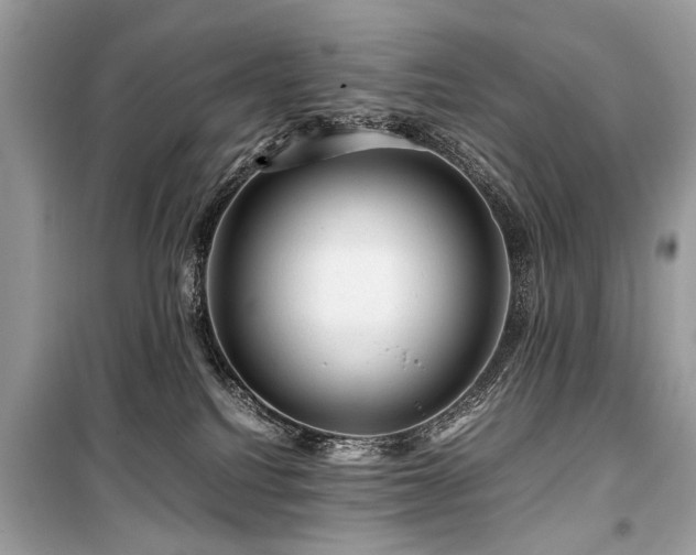 X0000099530088200805161222