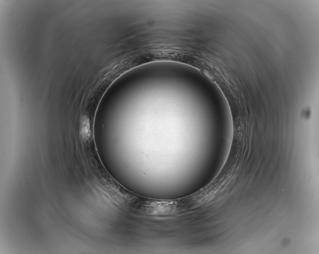 X0000099530089200805161222