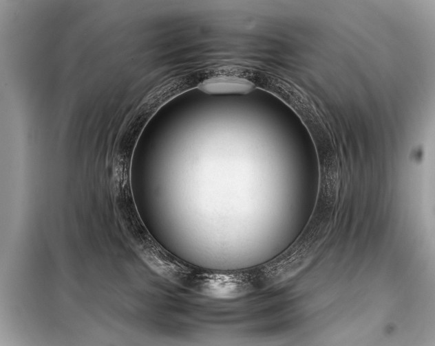 X0000099530091200805161222