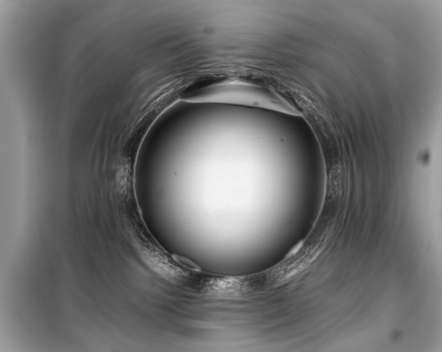 X0000099530092200805161222
