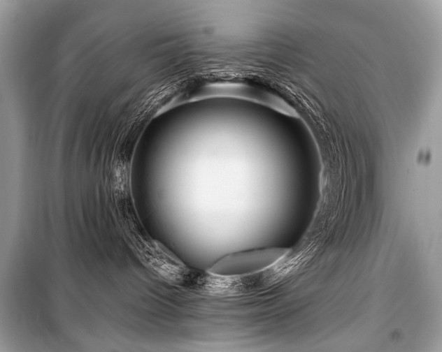 X0000099530096200805161222