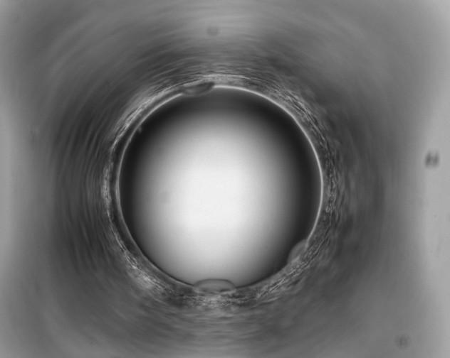 X0000099530098200805161221