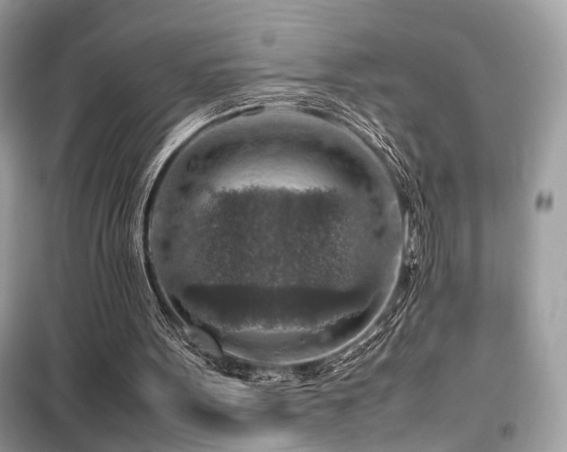 X0000099530099200805161221