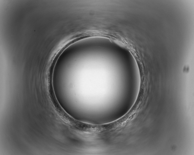X0000099530103200805161221