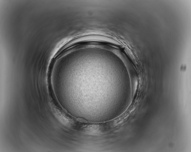 X0000099530104200805161221