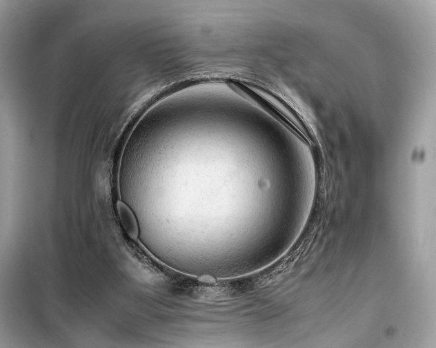 X0000099530107200805161221