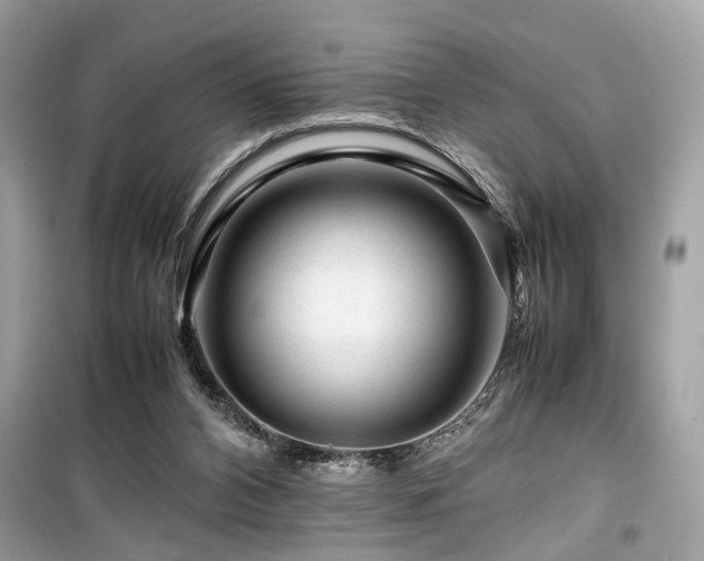 X0000099530112200805161221