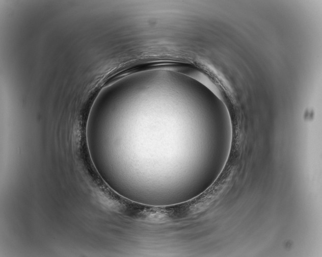 X0000099530113200805161221