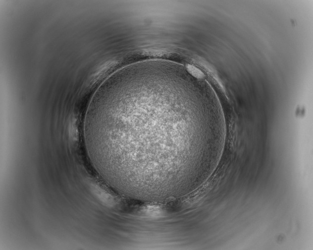 X0000099530114200805161221