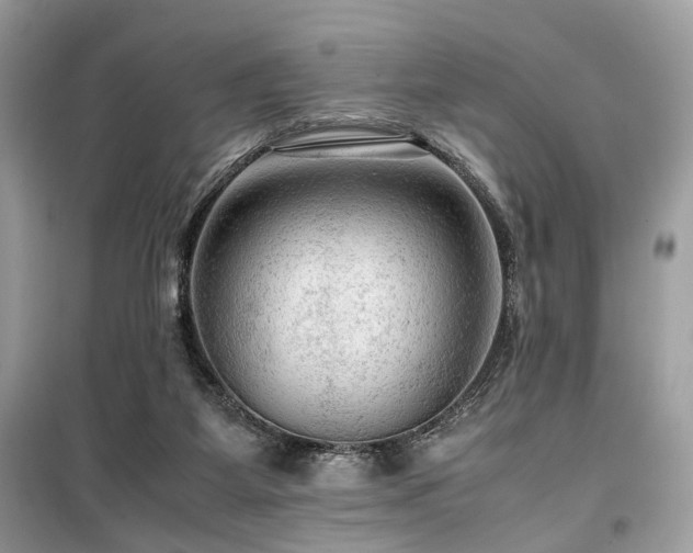 X0000099530115200805161221
