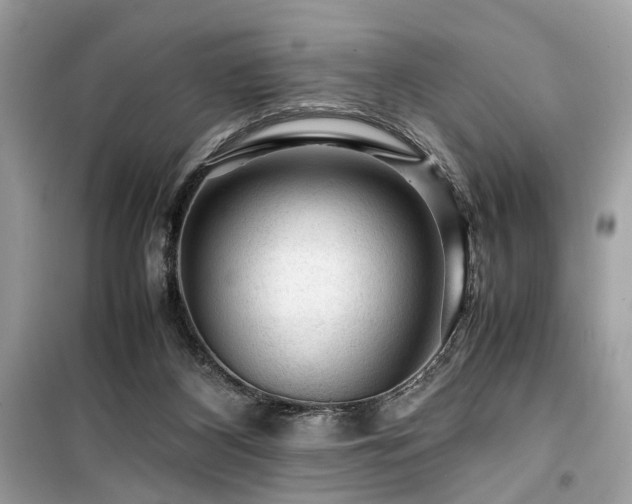X0000099530116200805161221