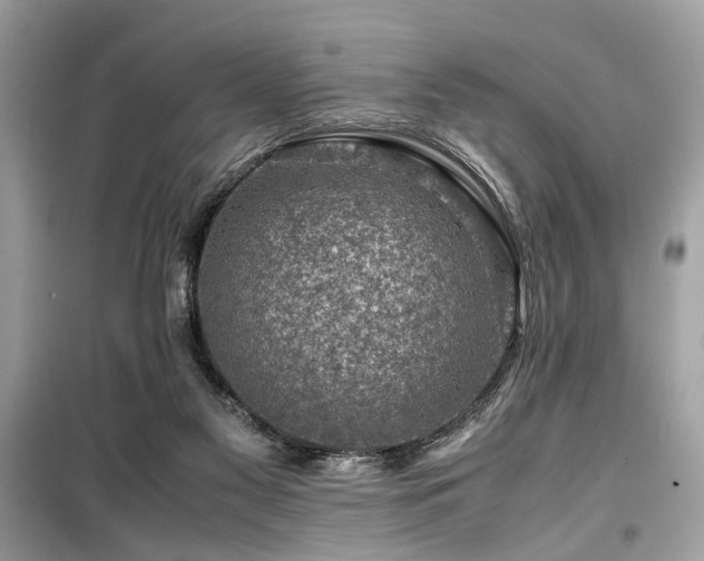 X0000099530117200805161221