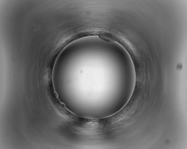X0000099530119200805161221