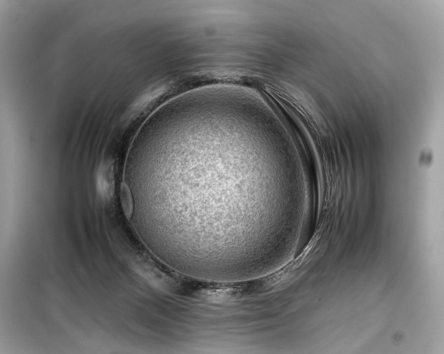 X0000099530120200805161221