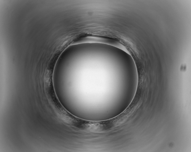 X0000099530121200805161220