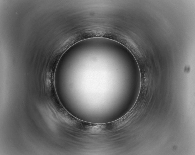 X0000099530122200805161220