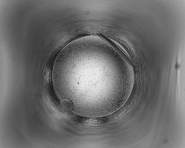 X0000099530123200805161220