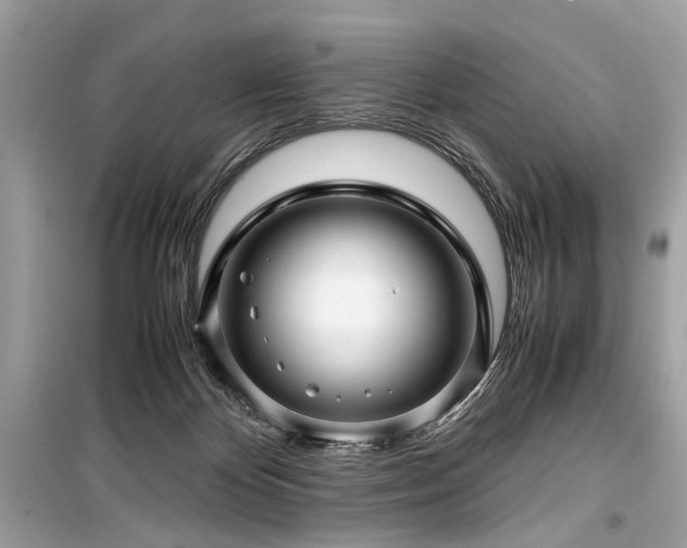 X0000099530124200805161220