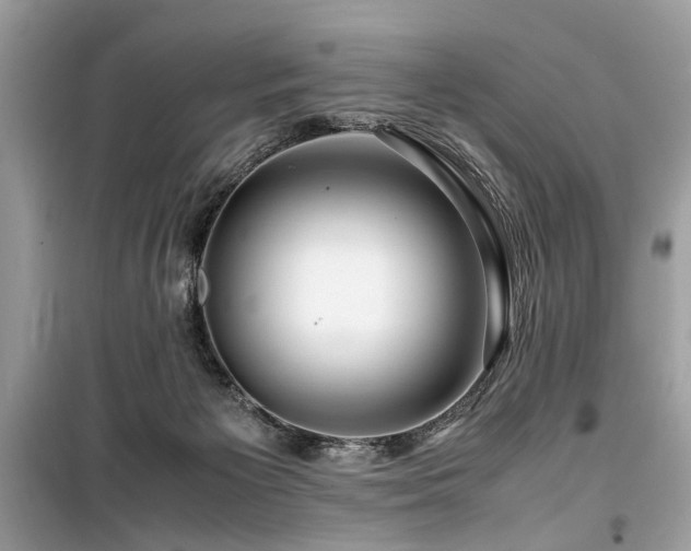 X0000099530125200805161220