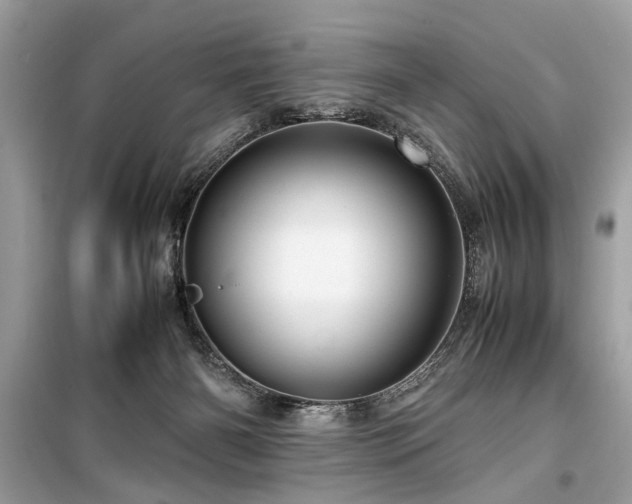 X0000099530126200805161220