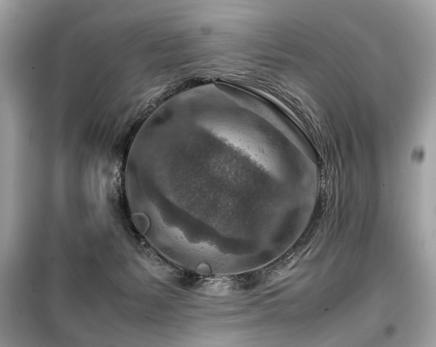 X0000099530127200805161220