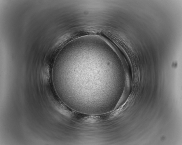 X0000099530128200805161220