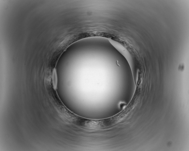 X0000099530129200805161220