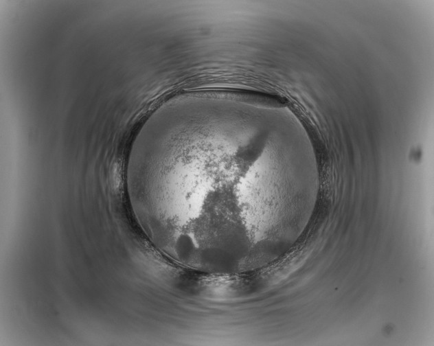 X0000099530131200805161220