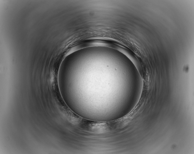 X0000099530132200805161220