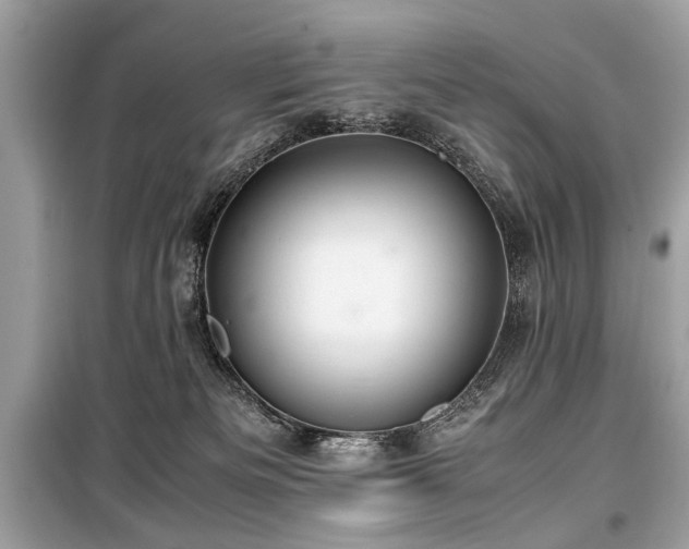 X0000099530133200805161220