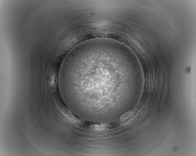 X0000099530134200805161220