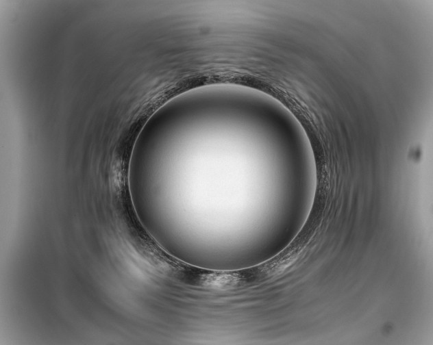 X0000099530135200805161220