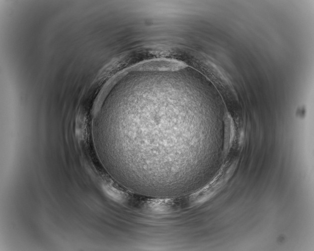 X0000099530136200805161220