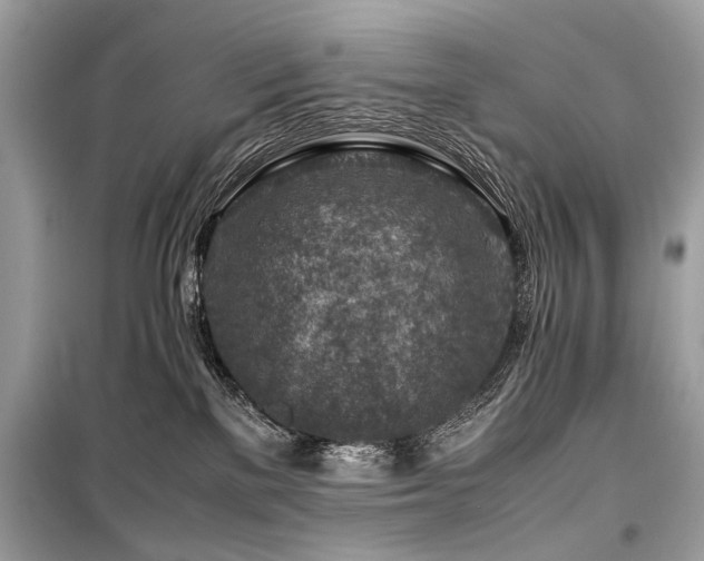 X0000099530137200805161220