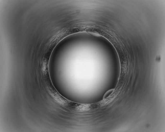 X0000099530138200805161220