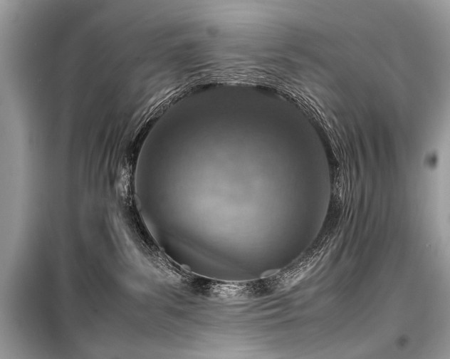 X0000099530139200805161220