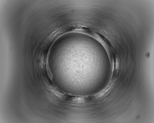 X0000099530140200805161220