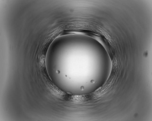 X0000099530141200805161220