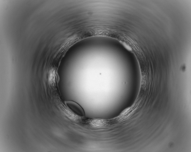 X0000099530142200805161220