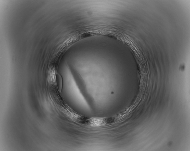 X0000099530143200805161220