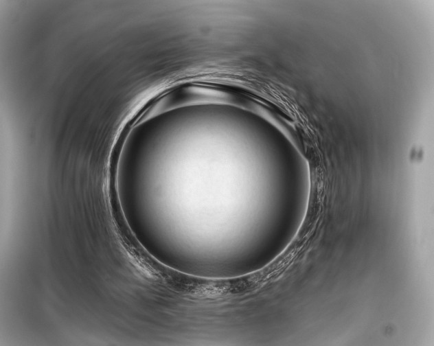 X0000099530148200805161219