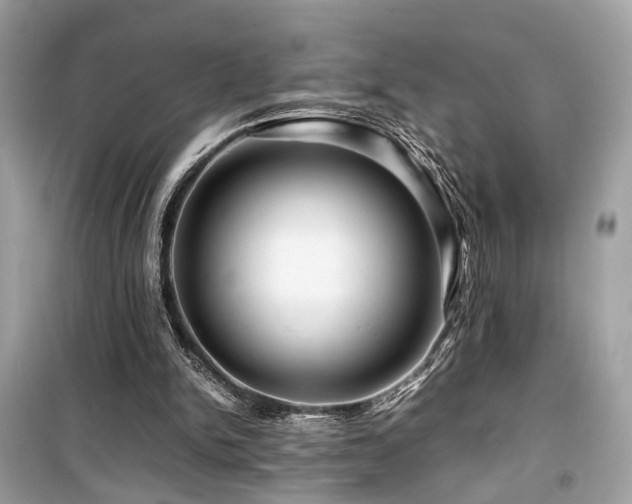 X0000099530150200805161219