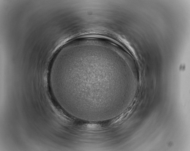 X0000099530154200805161220